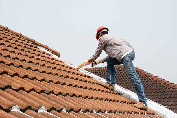 Best Cold Roofs  in Olympia Fields, IL