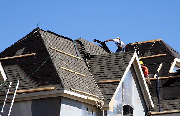 Best Rubber Roofing (EPDM, TPO)  in Olympia Fields, IL